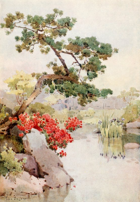 Azalea e Pino da Ella Du Cane