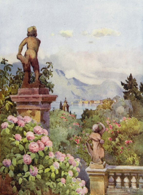 Ortensie, Isola Bella, Lago Maggiore da Ella Du Cane