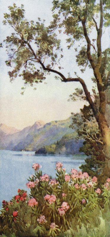Lago di Lecco, Lago di Como da Ella Du Cane