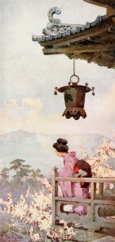 Osservando i fiori di pruno da Ella Du Cane