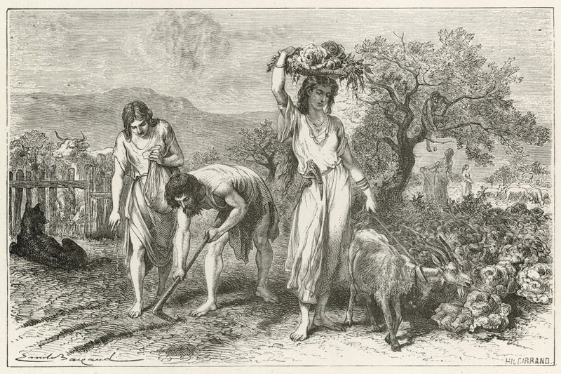 La coltivazione dei giardini all