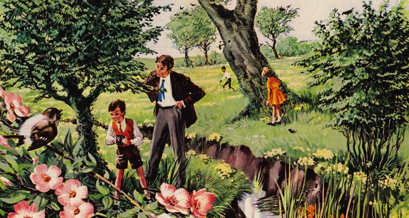Uccelli e i loro nidi da English School