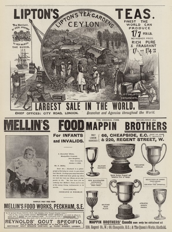 Pagina di annunci da English School