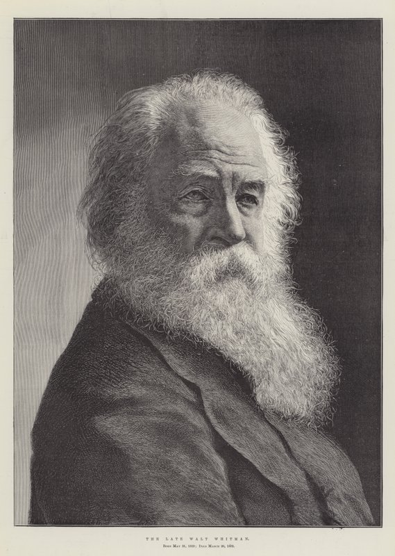 Il defunto Walt Whitman da English School