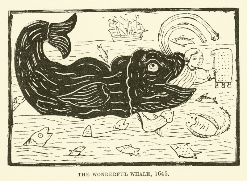 La meravigliosa balena, 1645 da English School