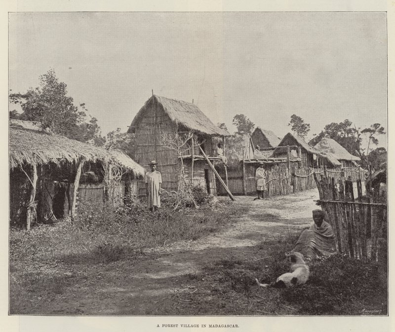 Un villaggio nella foresta in Madagascar da English Photographer