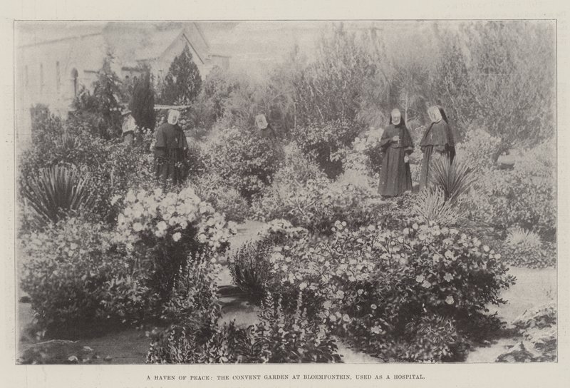 Un rifugio di pace, il giardino del convento a Bloemfontein, usato come ospedale da English Photographer