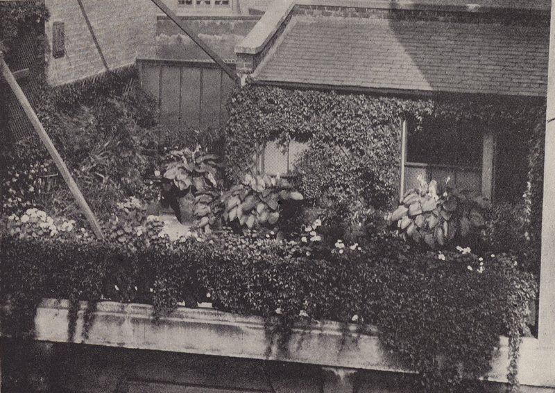 Un giardino sul tetto da English Photographer