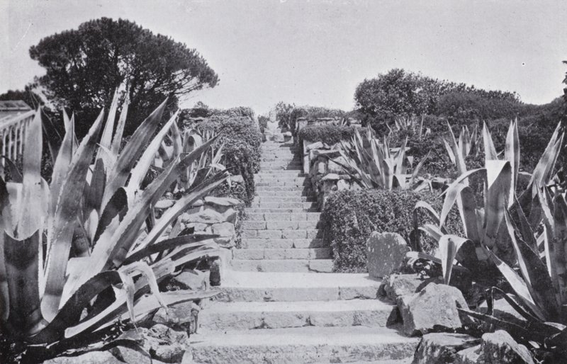 Un angolo nei giardini di Tresco da English Photographer