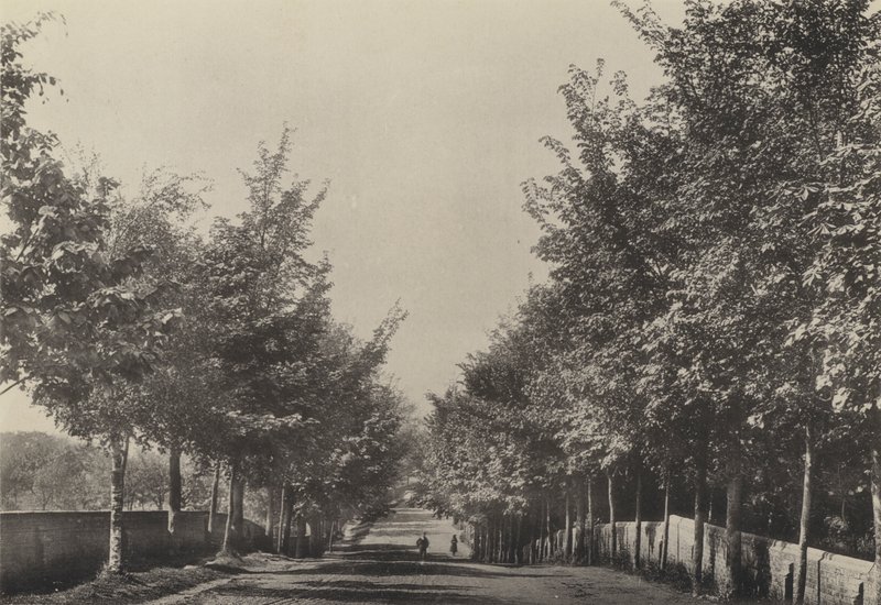 Aldeburgh, Westfields Avenue da English Photographer
