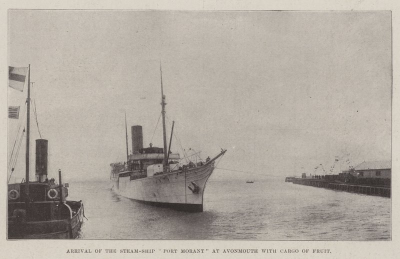 Arrivo della nave a vapore Port Morant ad Avonmouth con un carico di frutta da English Photographer
