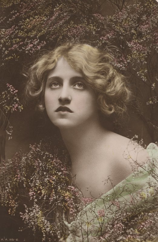 Bella ragazza, circondata da quello che sembra essere erica (foto) da English Photographer