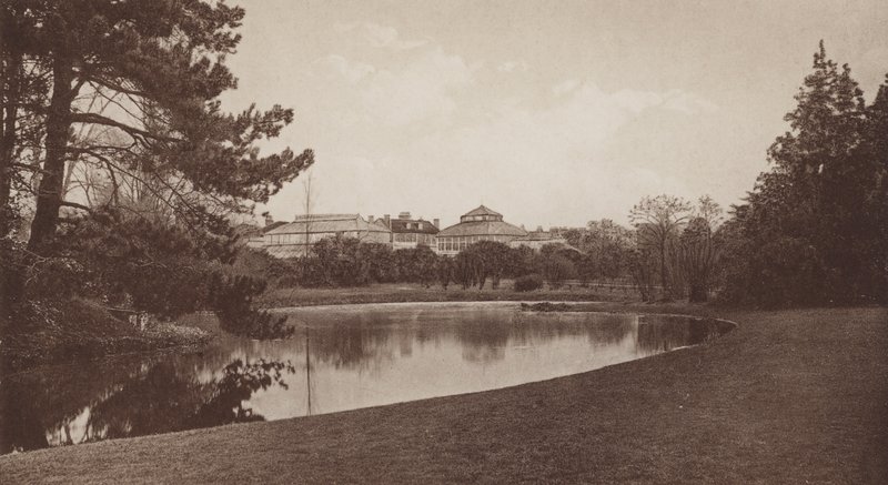 Giardini Botanici, Cambridge da English Photographer