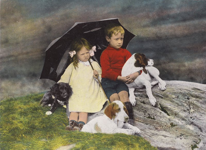 Ragazzo e ragazza con tre cani che si riparano sotto un ombrello da English Photographer