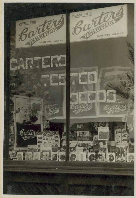 Esposizione di semi testati di Carters da English Photographer
