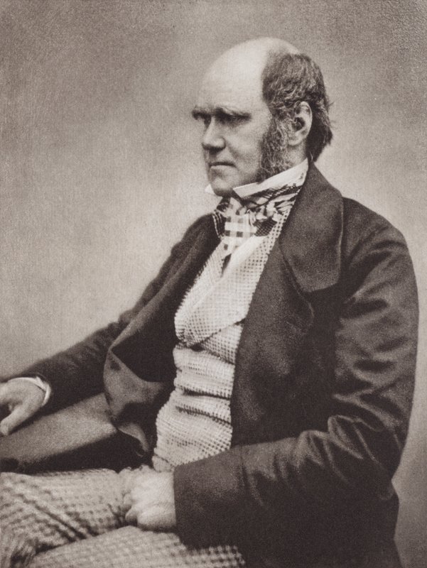 Charles Darwin, ritratto, c. 1854, da una fotografia di Maull & Fox da English Photographer