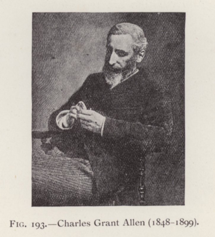 Charles Grant Allen (1848-1899), ritratto da English Photographer