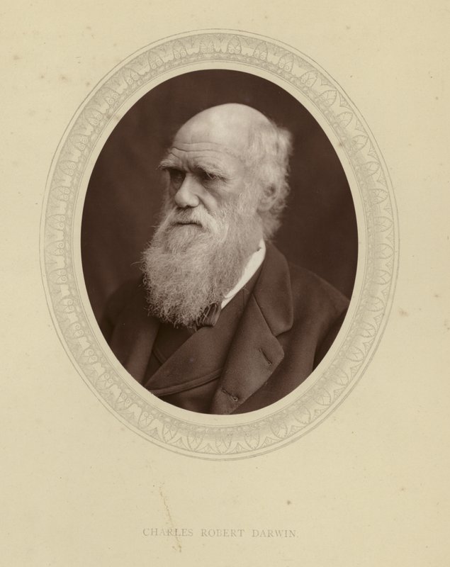 Charles Robert Darwin da English Photographer