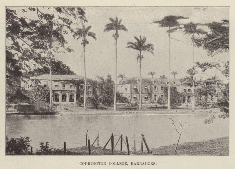 Codrington College, Barbados da English Photographer