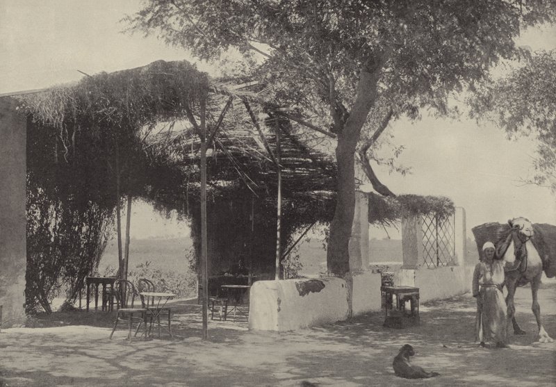 Caffetteria nel Giardino della Vergine a Matariyeh, dove visse Giuseppe da English Photographer