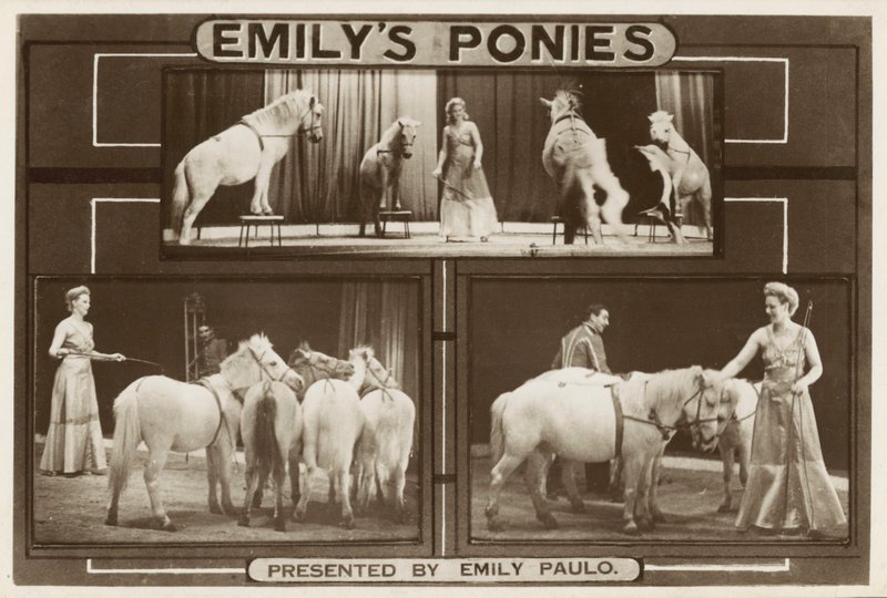 Emily Paulo e i suoi pony addestrati (foto) da English Photographer
