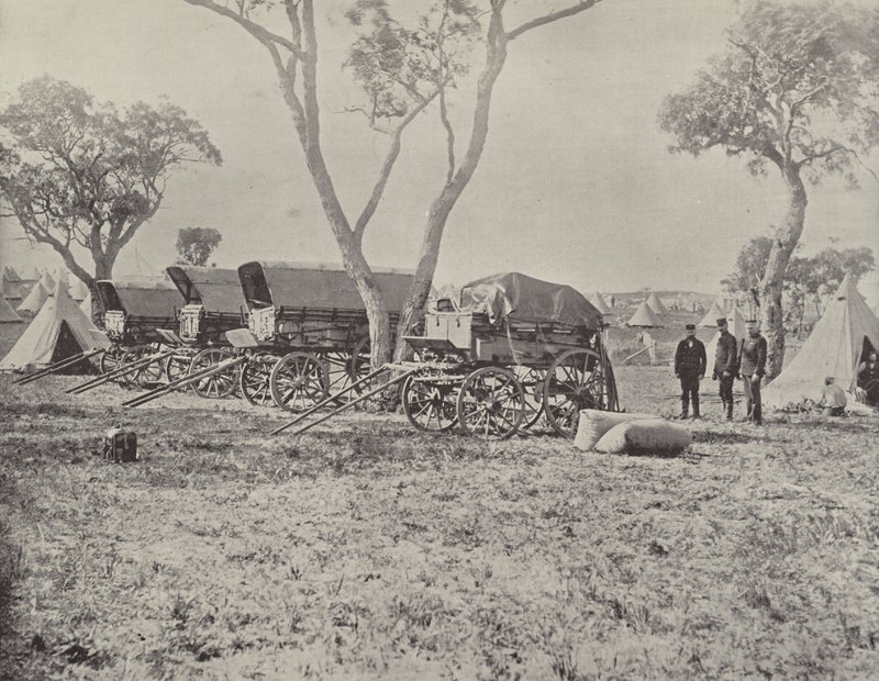 Campo degli ingegneri, Langwarrin, Victoria da English Photographer