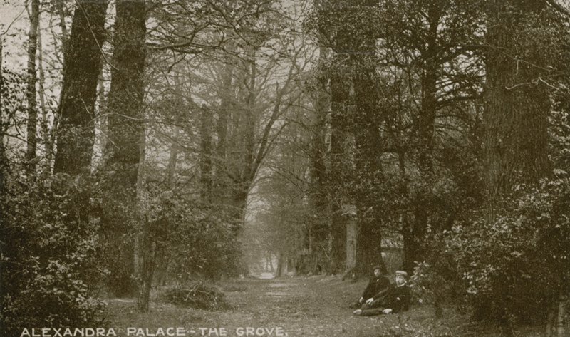 Vista generale del The Grove all