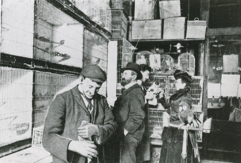 Negozio di animali a Great Portland Street da English Photographer
