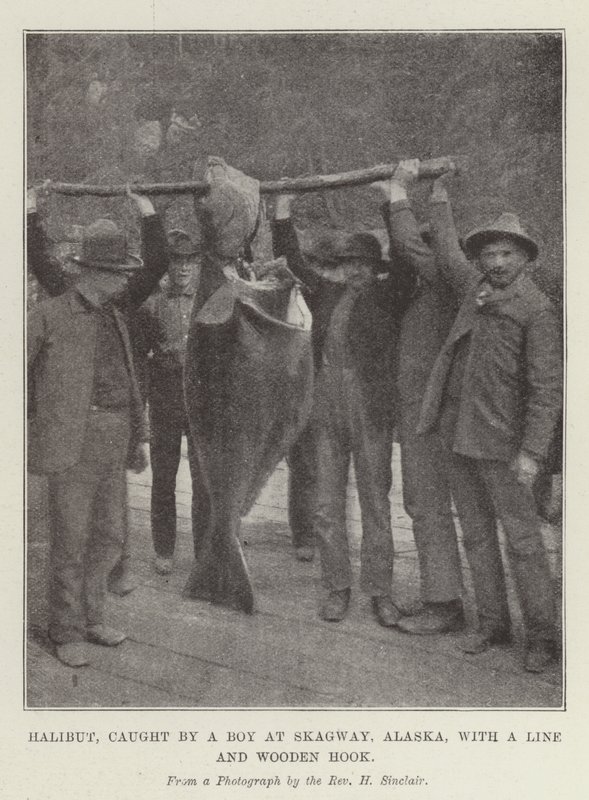 Halibut, catturato da un ragazzo a Skagway, Alaska, con una lenza e un amo di legno da English Photographer