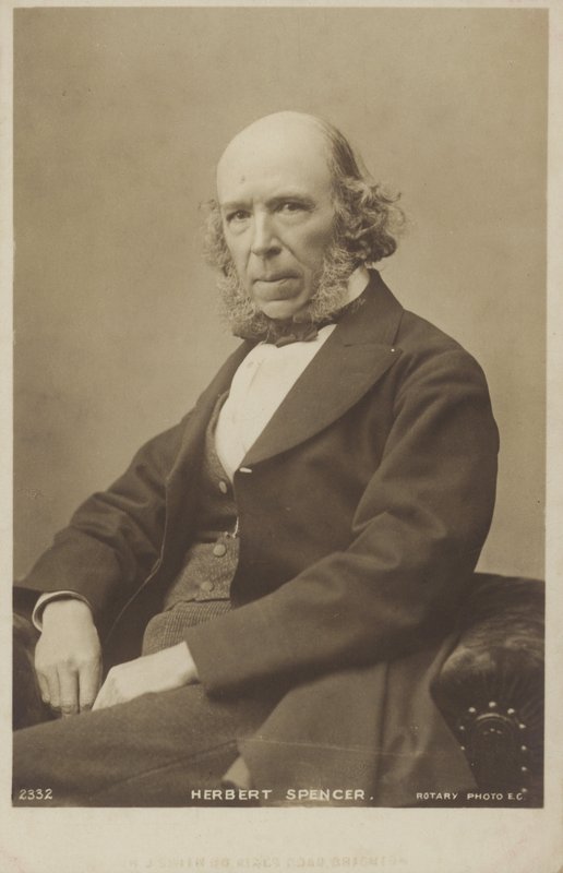 Herbert Spencer da English Photographer