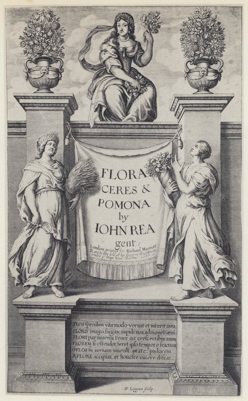 J Rea, Flora, Cerere e Pomona, R Marriott 1665 (foto b/n) da English Photographer