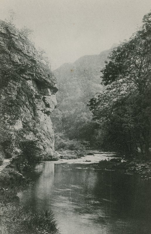Roccia del Volto del Leone, Dovedale da English Photographer