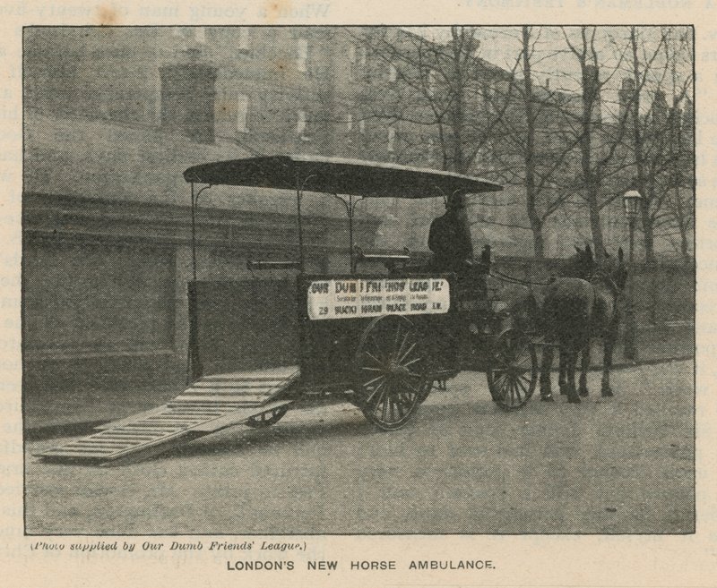La nuova ambulanza a cavallo di Londra da English Photographer
