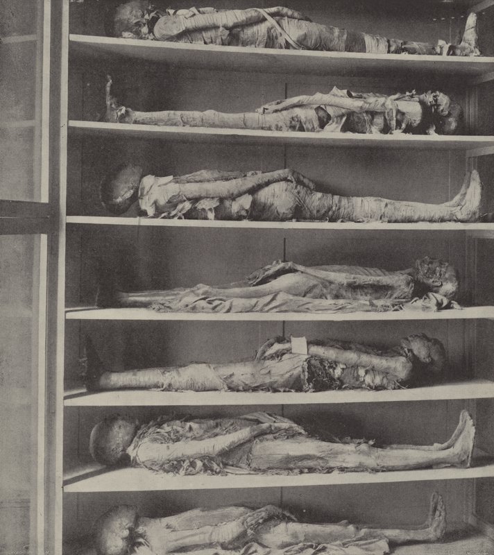 Mummie di sacerdoti, i corpi dei sacerdoti imbalsamati prima che Aronne e i suoi figli fossero nominati da English Photographer