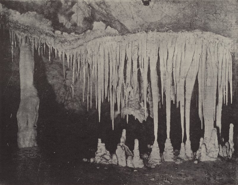 Grotta di Nellie, grotte di Jenolan da English Photographer