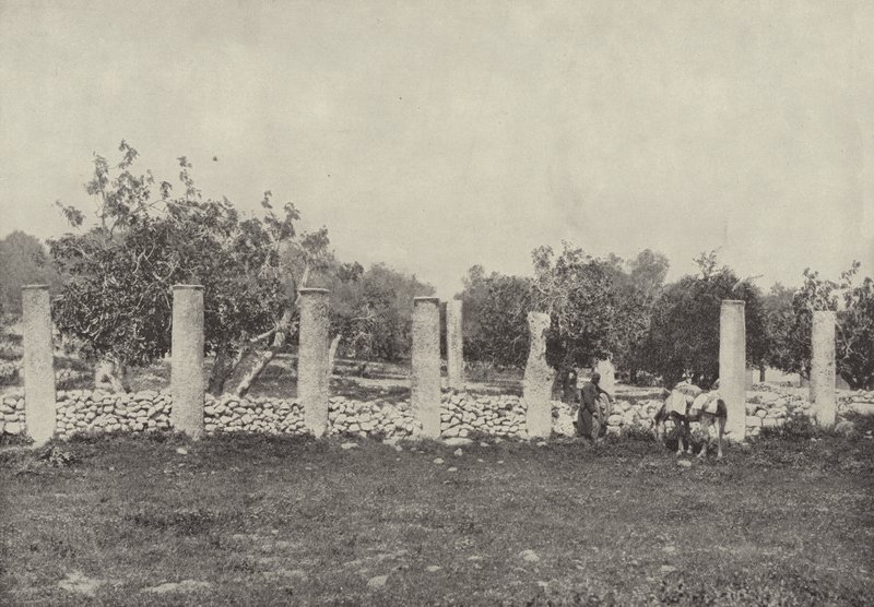 Palazzo di Erode, Samaria, i resti del palazzo, costruito da Erode in onore di Augusto da English Photographer