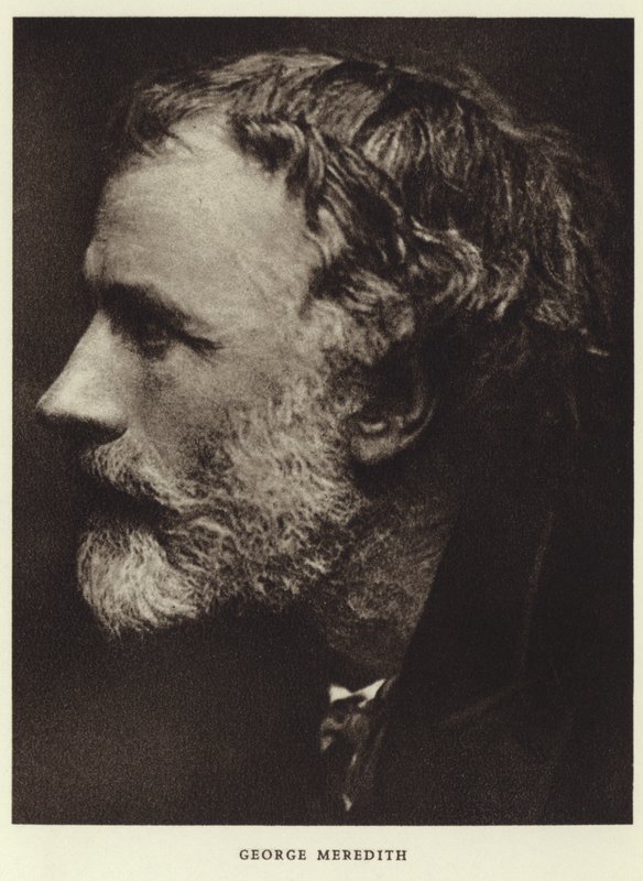 Ritratto di George Meredith da English Photographer