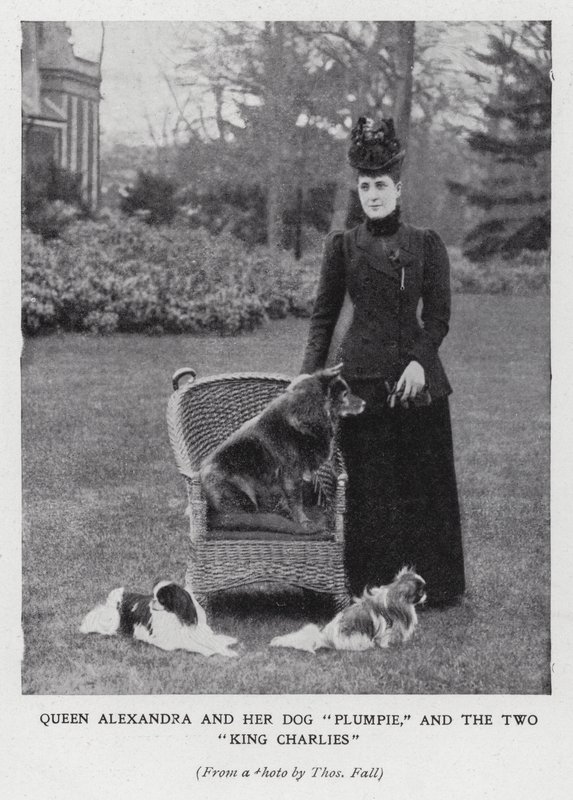 Regina Alessandra con il suo cane, Plumpie, e i suoi due spaniel King Charles da English Photographer