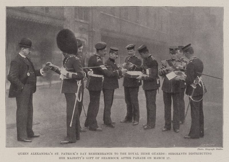 Il ricordo di San Patrizio della Regina Alessandra alle Guardie Irlandesi Reali, sergenti che distribuiscono il dono di trifoglio di Sua Maestà dopo la parata del 17 marzo da English Photographer