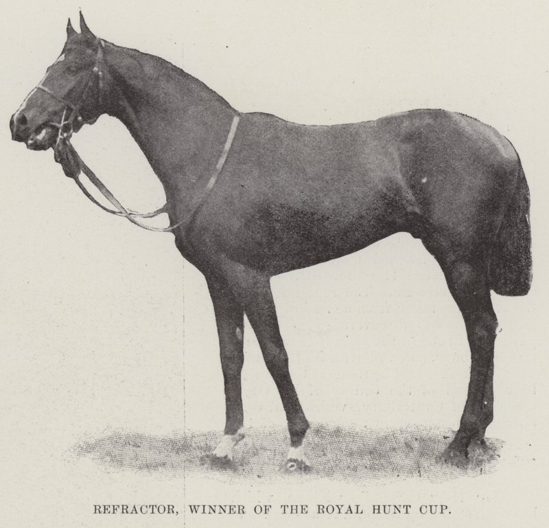 Refractor, vincitore della Royal Hunt Cup da English Photographer