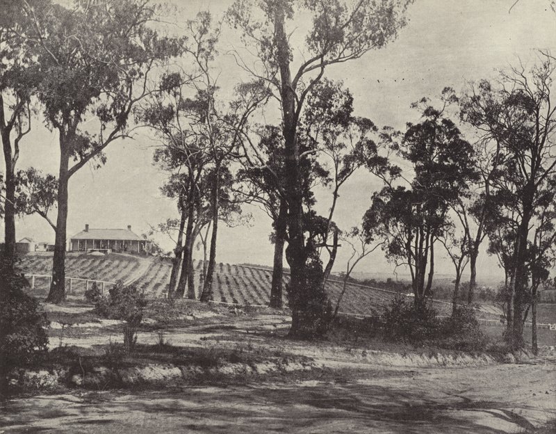 Scena sulla strada di Gembrook, Victoria da English Photographer