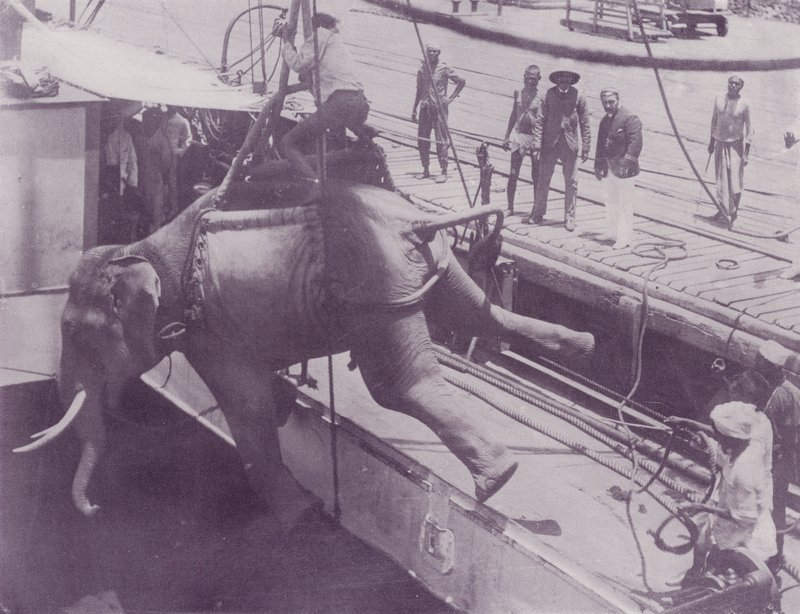 Imbarco di un Elefante, Rangoon da English Photographer