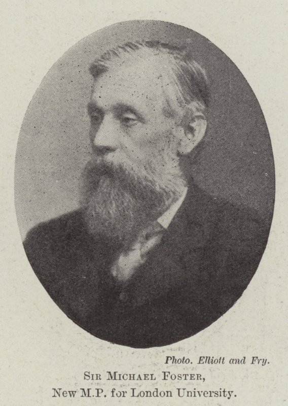 Sir Michael Foster, Nuovo Deputato per l
