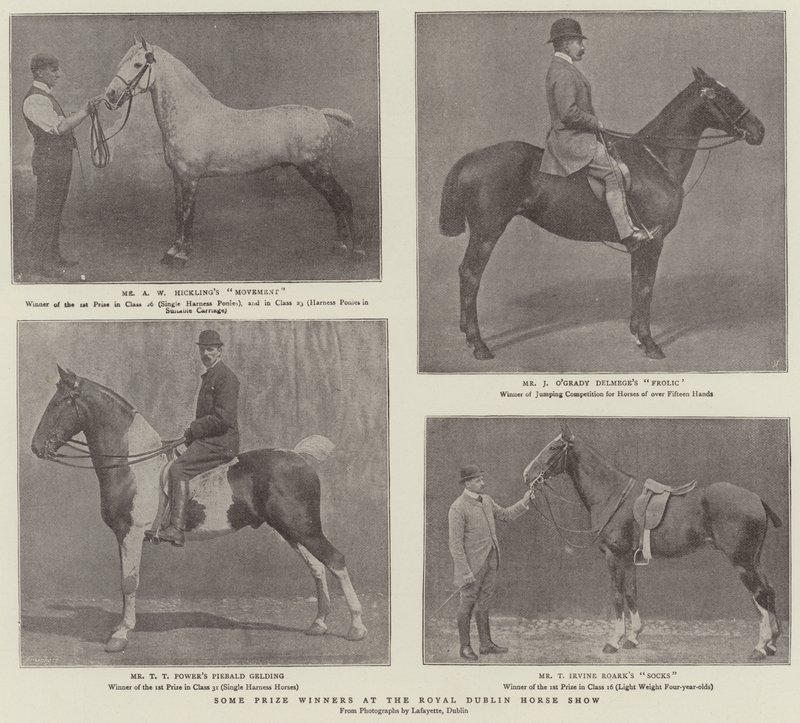 Alcuni vincitori di premi al Royal Dublin Horse Show da English Photographer