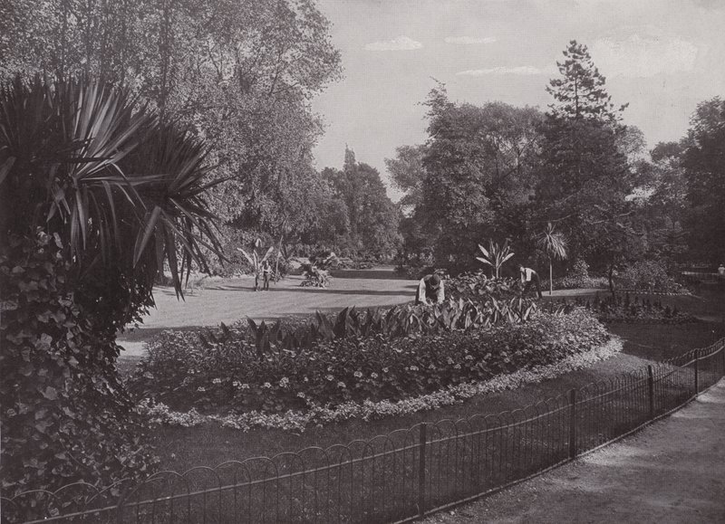 Giardini Sub-Tropicali, Parco di Battersea da English Photographer