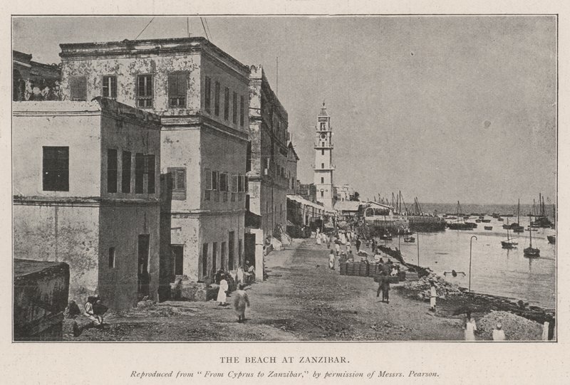 La spiaggia di Zanzibar da English Photographer