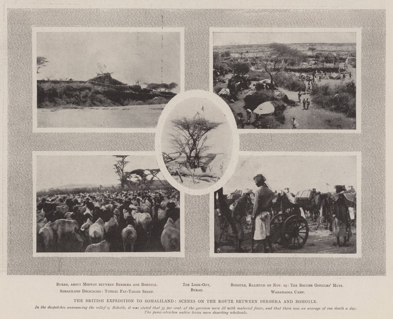 La spedizione britannica in Somaliland, scena sulla rotta tra Berbera e Bohotle da English Photographer
