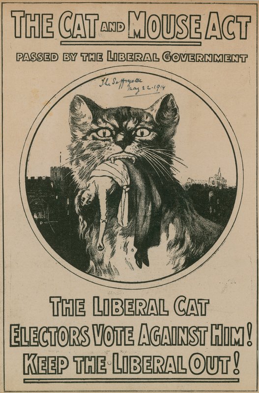 Il Cat and Mouse Act da English Photographer