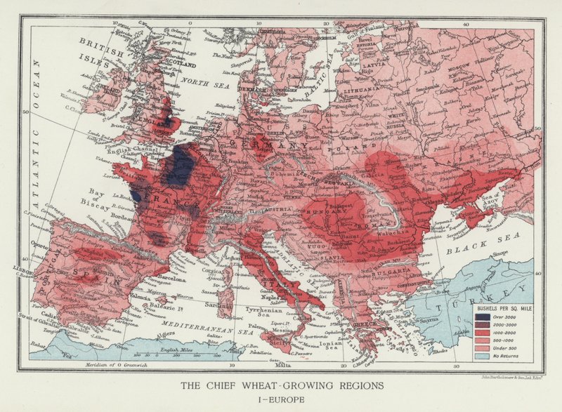 Le principali regioni produttrici di grano, Europa (foto) da English Photographer