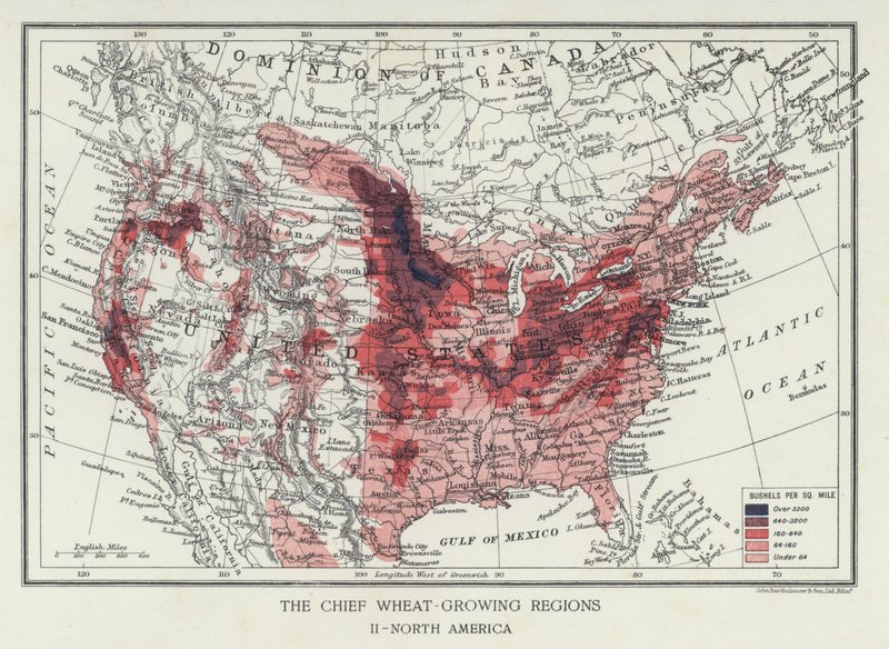 Le principali regioni di coltivazione del grano, Nord America (foto) da English Photographer